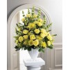 Glowing Ray Arrangement